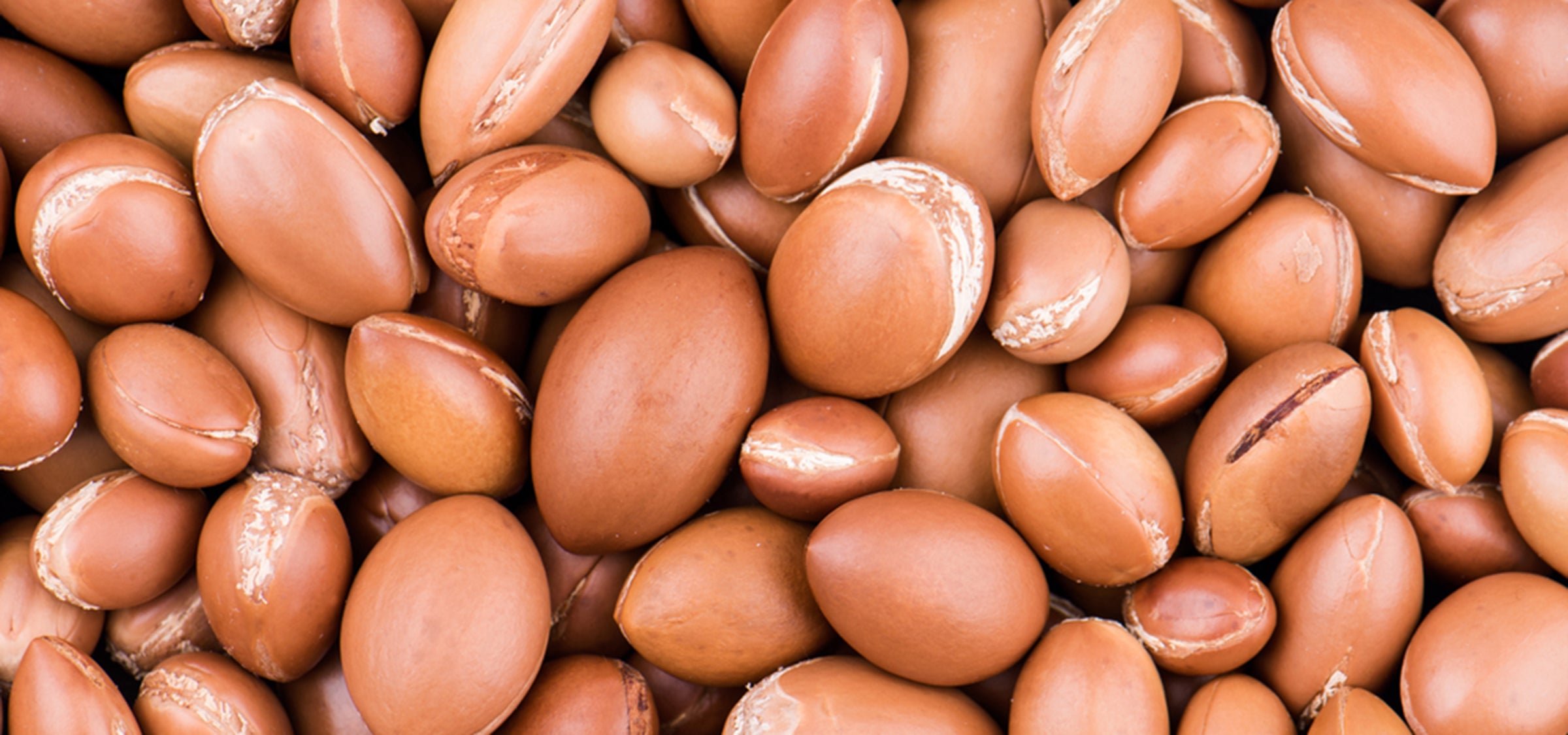 Arganfrüchte und Arganöl – pflanzlicher Wirkstoff mit glättender, nährender und antioxidativer Wirkung für reife und trockene Haut