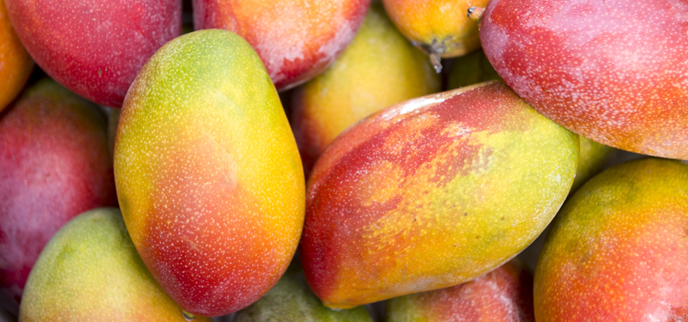 Mango Moodbild – exotisches Wirkstoffbild aus dem Santaverde Wirkstofflexikon, zeigt die regenerierende und antioxidative Wirkung der Mango in der Naturkosmetik