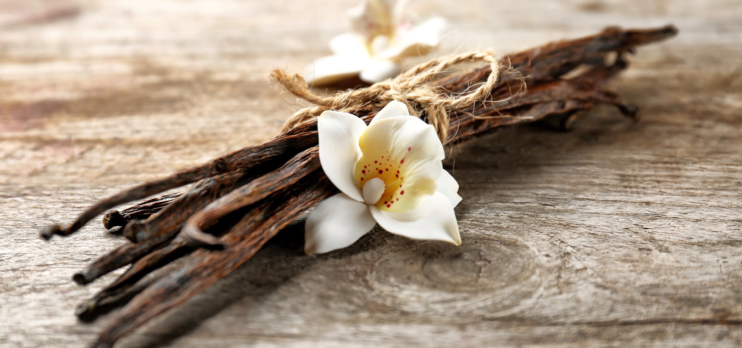 Wirkstoffbild Vanille – aromatische Vanilleschoten und Blüte als pflanzlicher Inhaltsstoff in Santaverde Kosmetik, bekannt für pflegende, hautberuhigende Eigenschaften