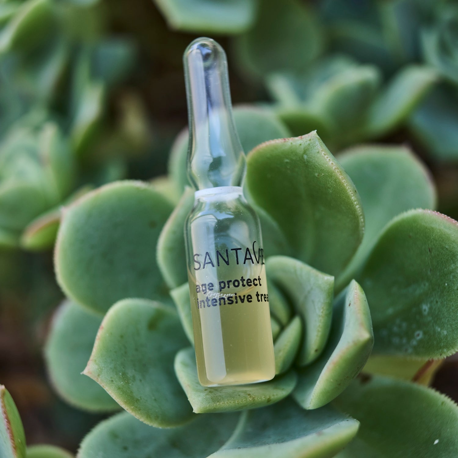 Santaverde Age Protect Intensive Treatment – natürliche Anti-Aging Pflege mit wirksamen Inhaltsstoffen für reife Haut