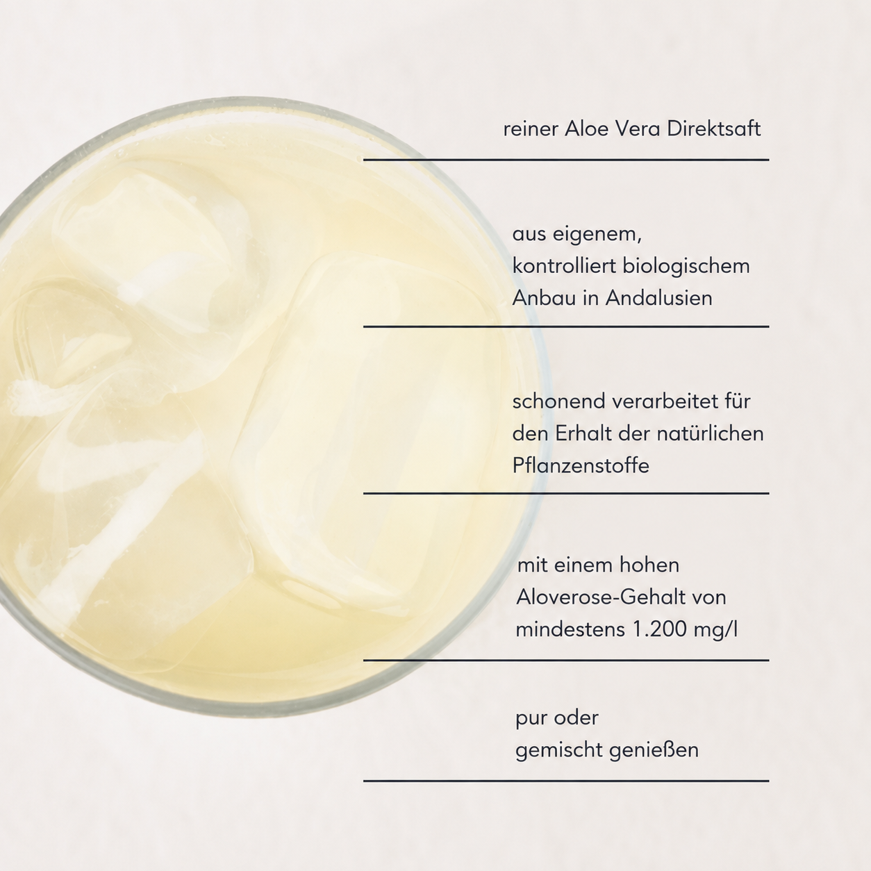 Glas mit aloepur und Eiswürfeln. Die Vorteile des Aloe Vera Direktsaftes werden beschrieben mit schonender Verarbeitung, hohem Aloverosegehalt von mind. 1200mg/l und kontrolliert biologischem Anbau in Andalusien