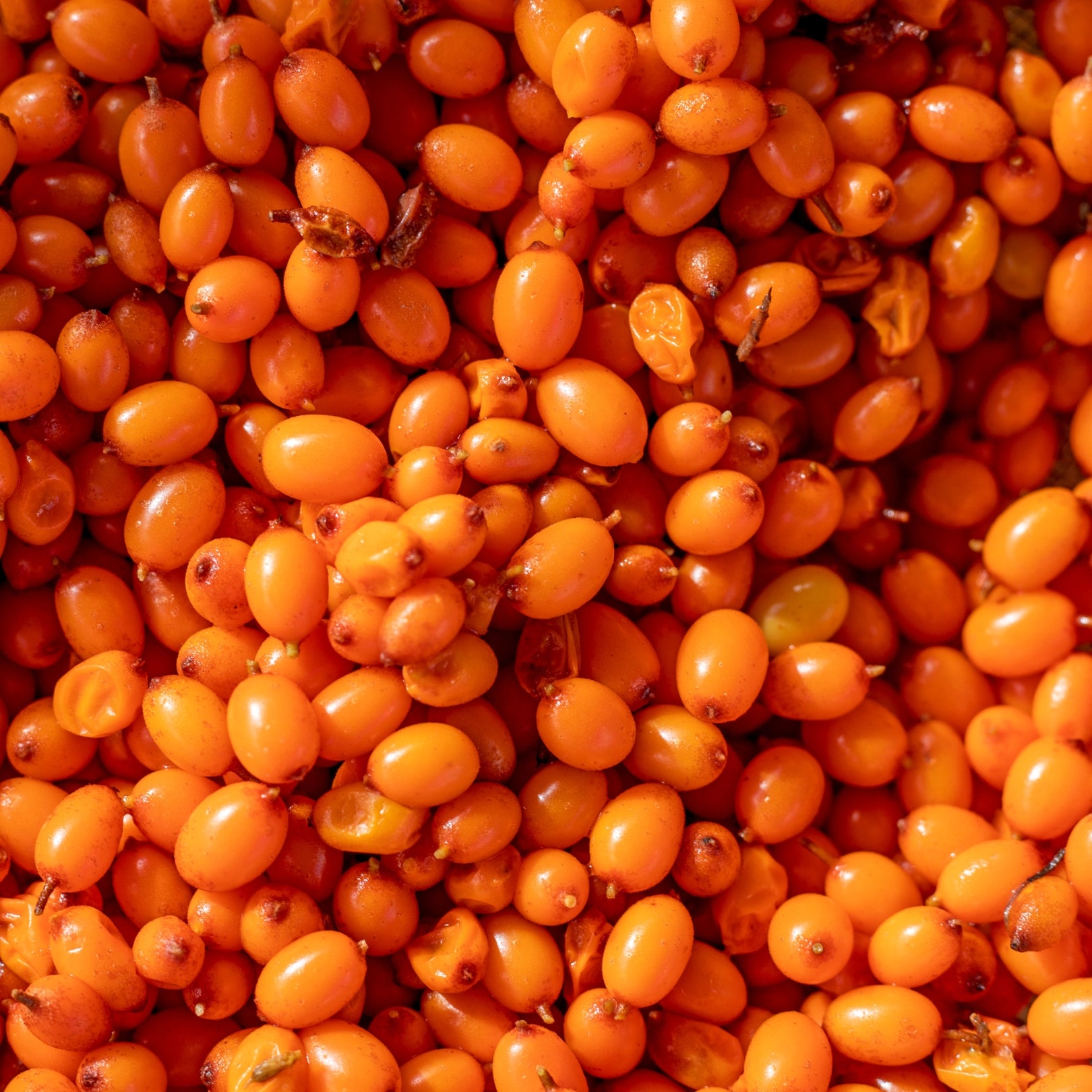 6.jpg__PID:4f3125b5-ab63-4712-9342-ef6888709944