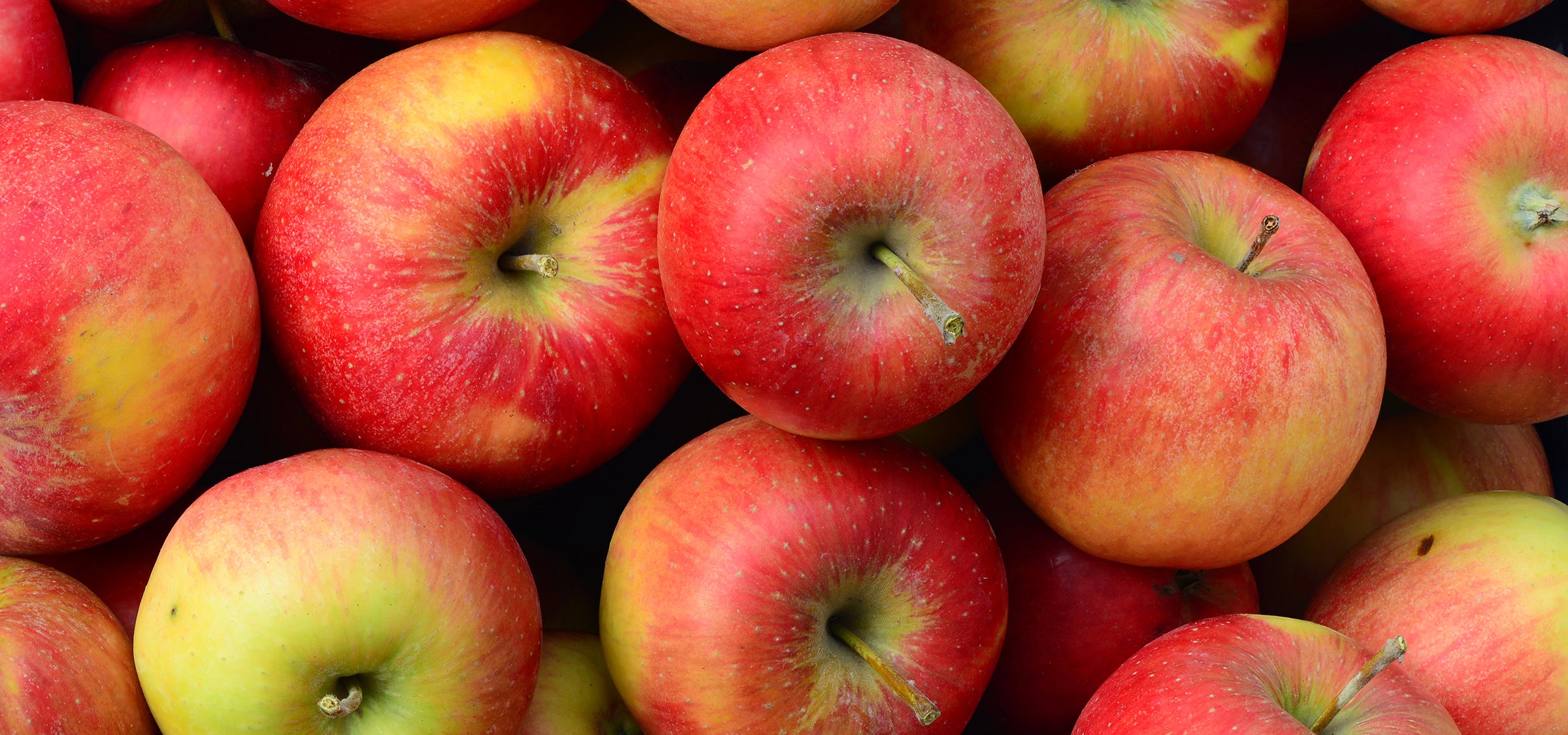 Frischer Apfel – natürlicher Wirkstoff mit antioxidativer Wirkung und sanft exfolierenden Fruchtsäuren für ein verfeinertes Hautbild