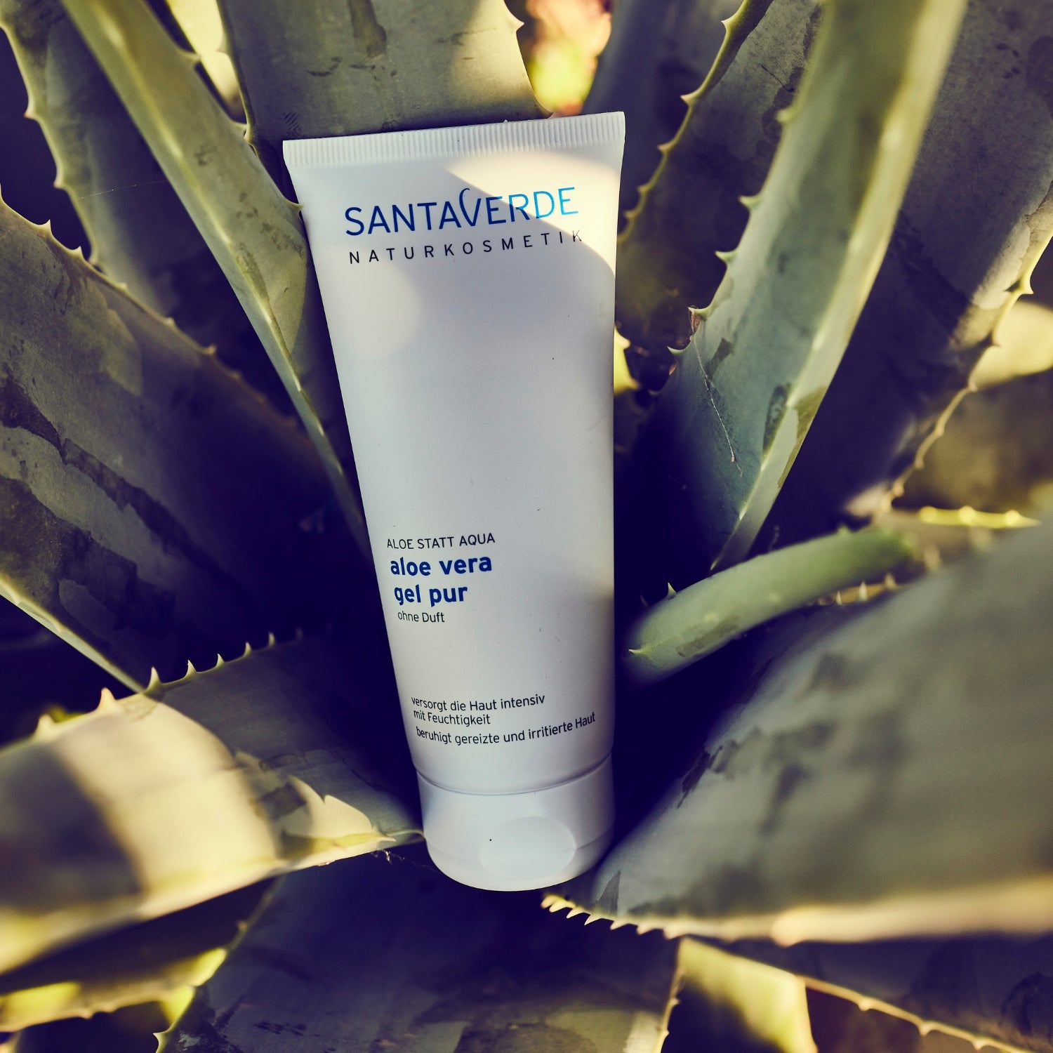 aloe_vera_gel_pur